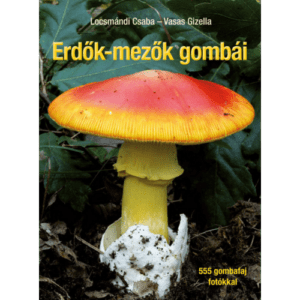 Cser Könyvkiadó és Kereskedelmi Kft.