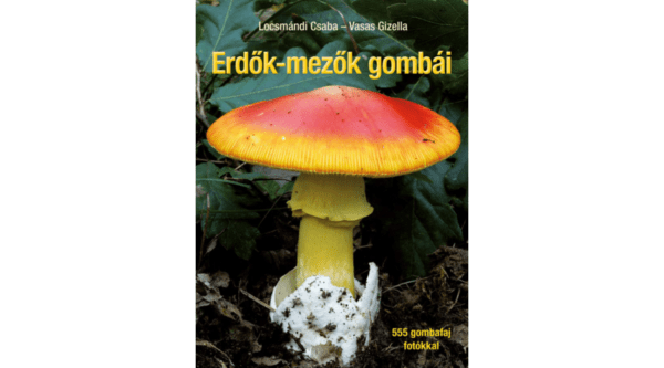 Cser Könyvkiadó és Kereskedelmi Kft.