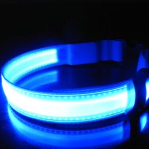 LED kutya nyakörv világító kutyanyakörv Zöld L