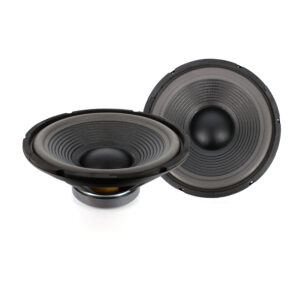 Hangszóró HSP 005 12"/300mm - 150/300W - 8ohm