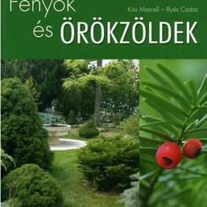 Fenyők és örökzöldek