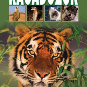 Ragadozók