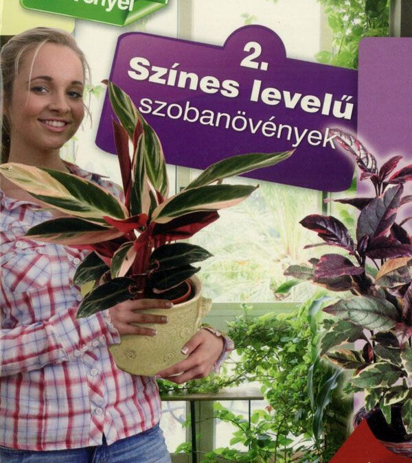 Otthonunk növényei 2. – Színes levelű szobanövények