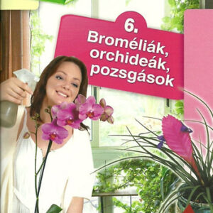 Otthonunk növényei Broméliák, Orchideák, Pozsgások