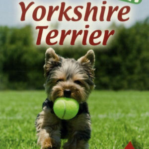 Házi kedvenceink 1. : Yorkshire terrier