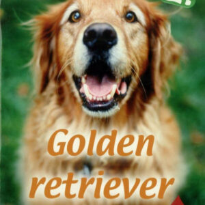 Házi kedvenceink 2. - Golden retriever
