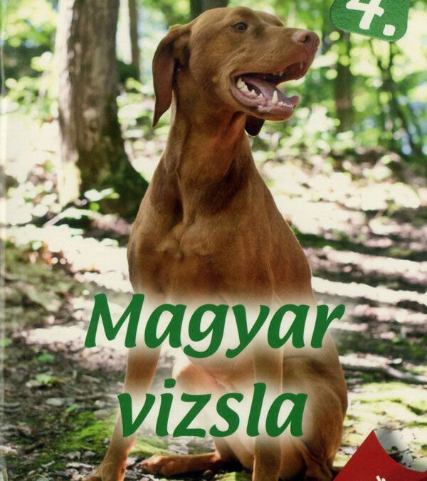 Házi kedvenceink 4. : Magyar vizsla