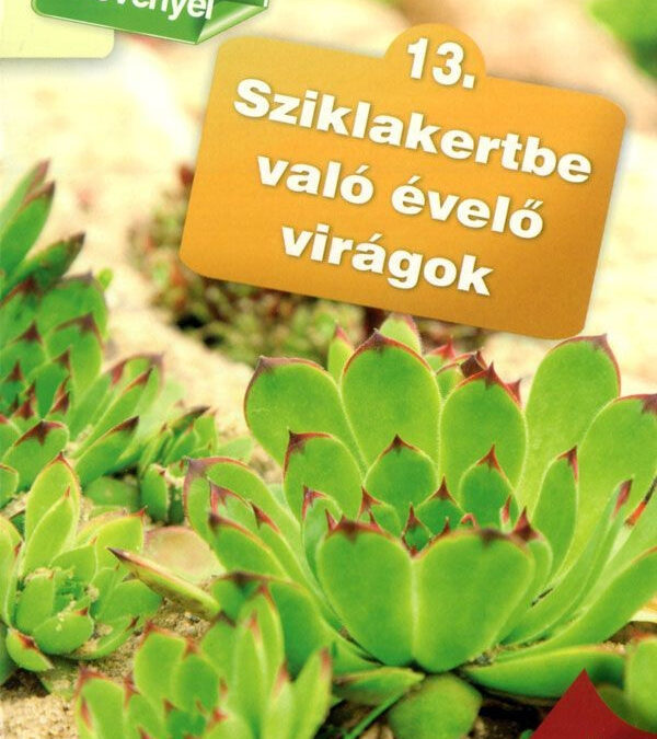 Otthonunk növényei 13. – Sziklakertbe való évelő virágok