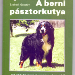 A berni pásztorkutya
