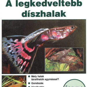 A legkedveltebb díszhalak