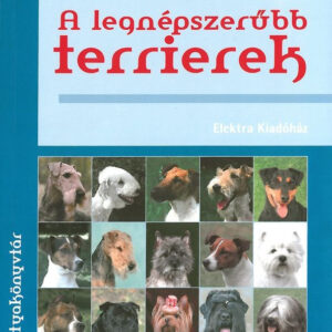 A legnépszerűbb terrierek