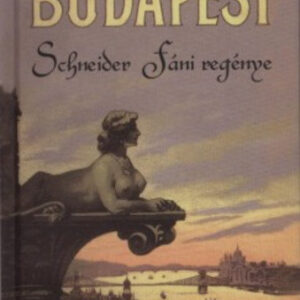 Budapest - Schneider Fáni regénye