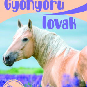 Gyönyörű lovak - A világ legszebb lovai /Szállítási sérült/