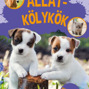 Állatkölykök - A világ legcukibb állatai