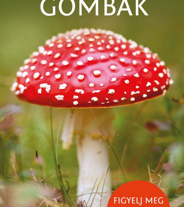 Gombák – Természetbarátok zsebkönyve