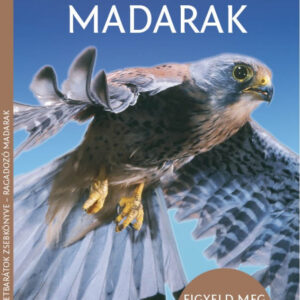 Ragadozó madarak - Természetbarátok zsebkönyve