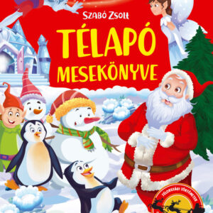 Télapó mesekönyve - 14 téli mese