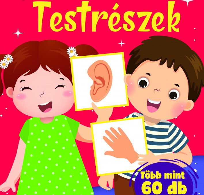 Testrészek – foglalkoztató gyerekeknek (szállítási sérült)