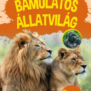 Bámulatos állatvilág