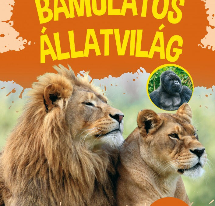 Bámulatos állatvilág