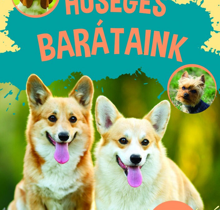 Hűséges barátaink – matricás ismeretterjesztő