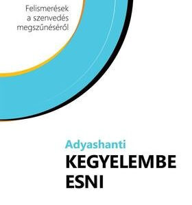Kegyelembe esni - Felismerések a szenvedés megszűnéséről - Adyashanti