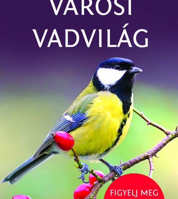 Városi vadvilág – Természetbarátok zsebkönyve