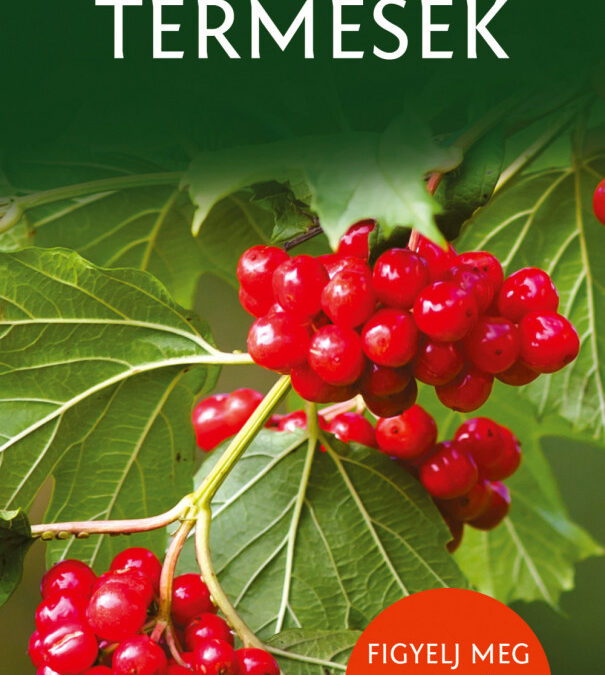 Termések – Természetbarátok zsebkönyve