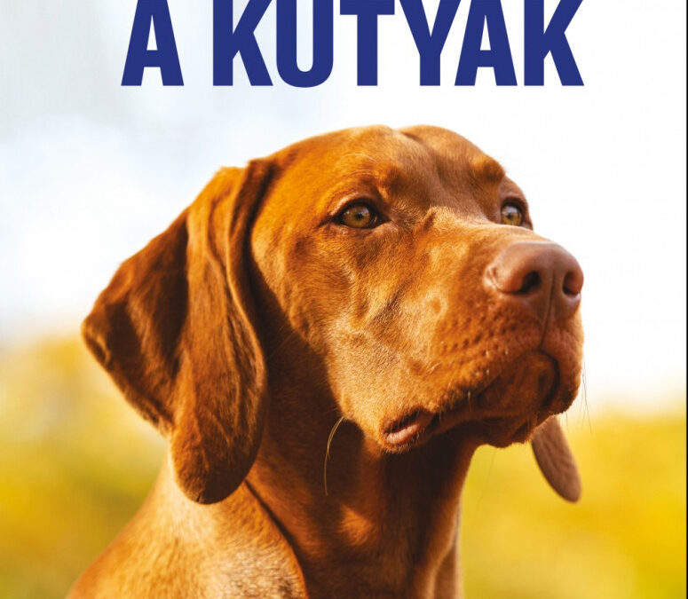Legjobb barátaink a kutyák – 51 kutyafajta bemutatása