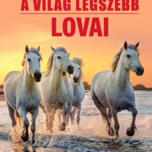 A világ legszebb lovai - 22 lófajta bemutatása