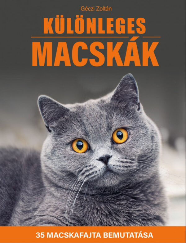 Különleges macskák - 35 macskafajta bemutatása