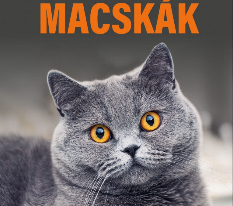Különleges macskák – 35 macskafajta bemutatása