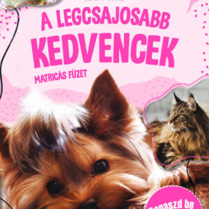 A legcsajosabb kedvencek-matricás füzet