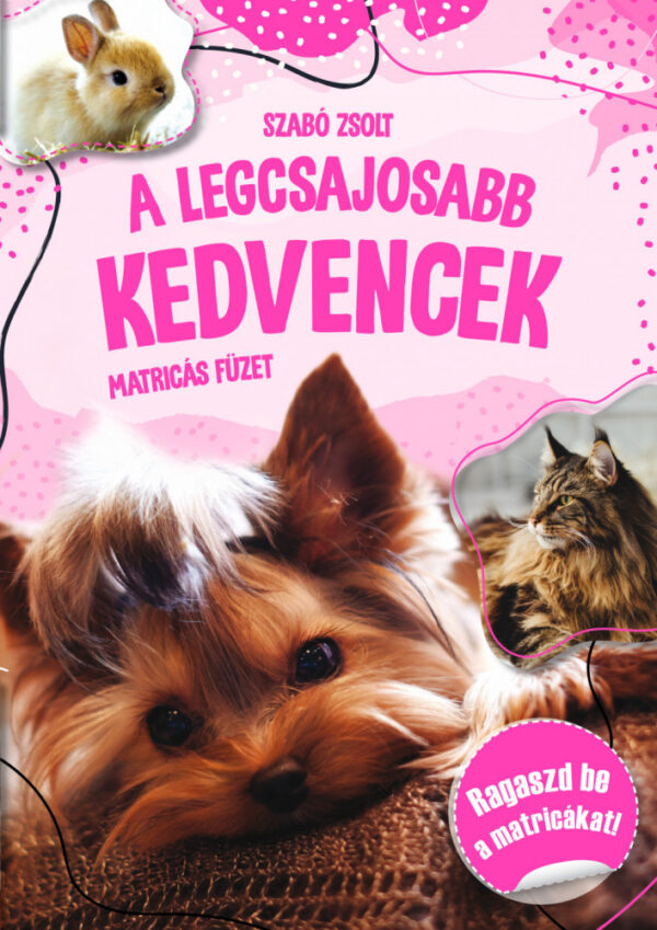 A legcsajosabb kedvencek-matricás füzet