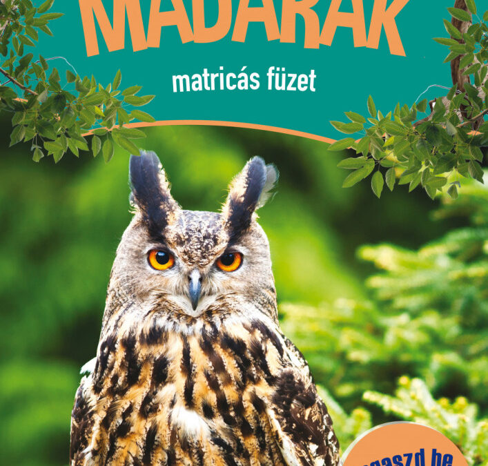 Madarak matricás füzet – Ragaszd be a matricákat!