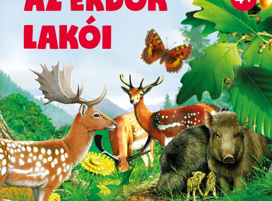 Az erdők lakói 4+ Keresd meg az állatokat!