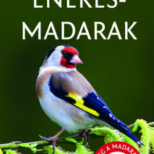 Énekesmadarak - Természetbarátok zsebkönyve