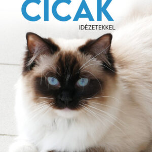 Naptár - cicák idézetekkel 2024