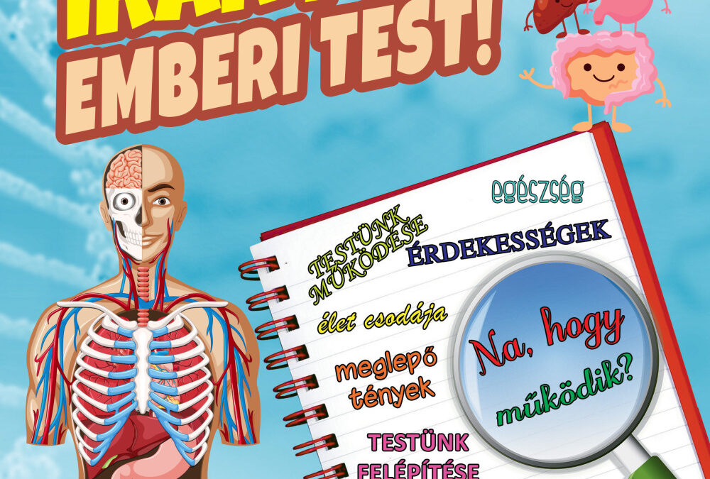 Irány az emberi test