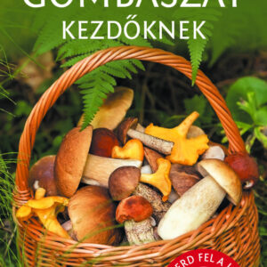 Gombászat kezdőknek - Természetbarátok zsebkönyve