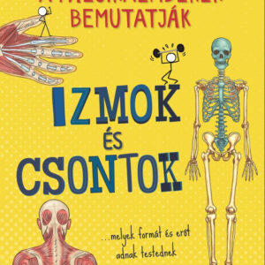 Izmok és csontok - A pálcikaemberek bemutatják
