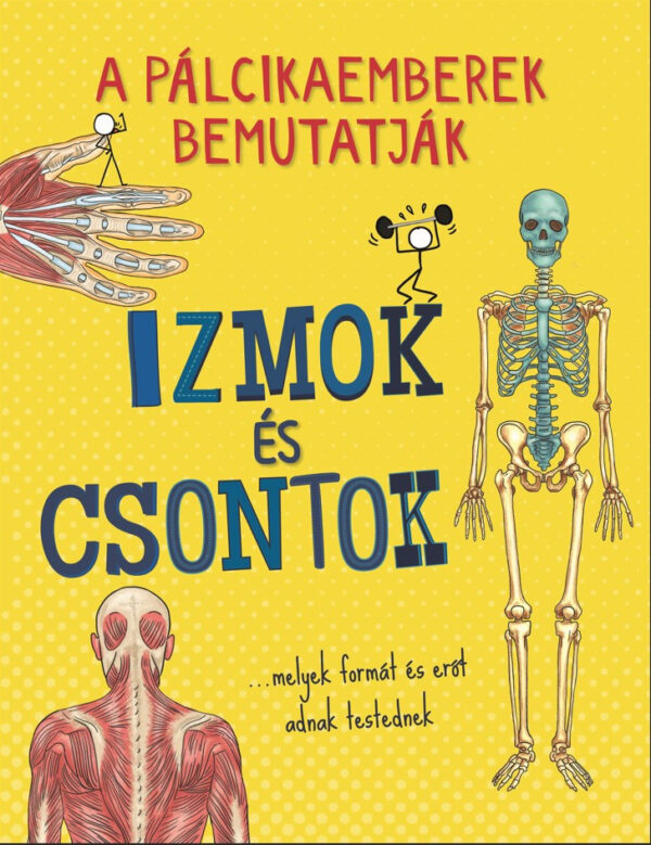Izmok és csontok - A pálcikás ember bemutatja