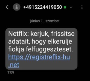 Netflix_sms