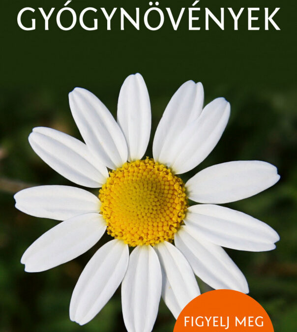 Gyógynövények – Természetbarátok zsebkönyve