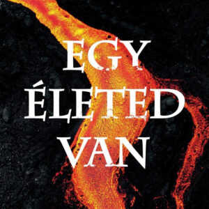 Egy életed van