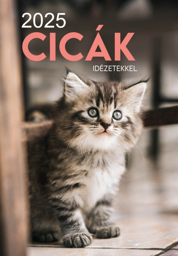2025 Naptár: Cicák