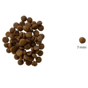 Chucky Hipoallergén marhás száraz kölyök kutyatáp (búza-glutén és csirkehús mentes prémium formula)