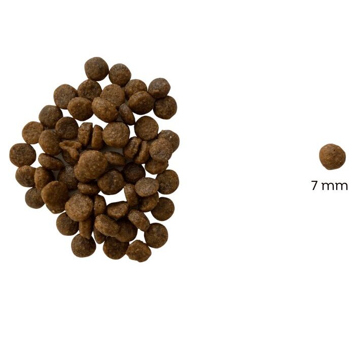 Chucky Hipoallergén marhás száraz kölyök kutyatáp (búza-glutén és csirkehús mentes prémium formula) – 10 kg