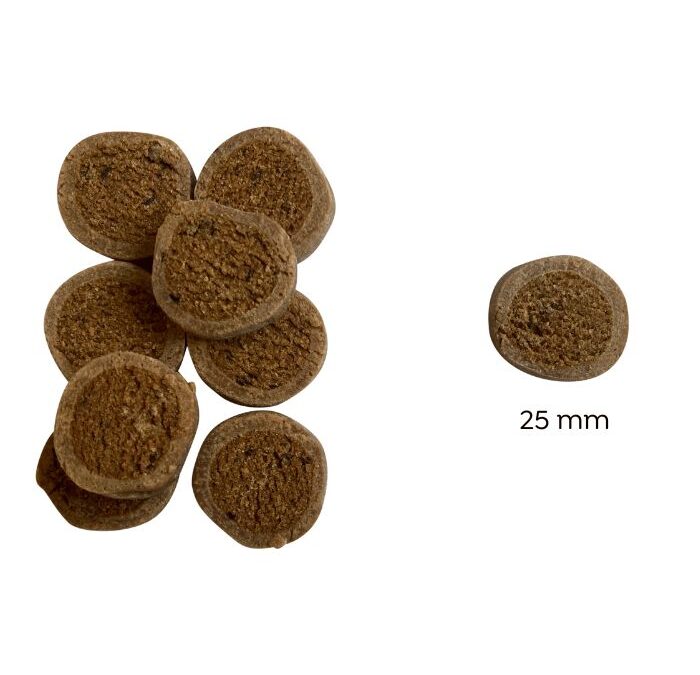 Friky Rovarfehérjés Nasi Fekete Áfonyával – (hipoallergén kutyakeksz) – 200 g