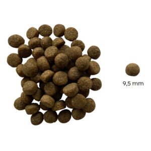 Oscar Hipoallergén marhás száraz senior kutyatáp (búza-glutén és csirkehús mentes prémium formula) - 3 kg